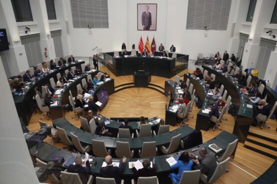 Imagen del Pleno del Ayuntamiento de Madrid en el día de hoy
