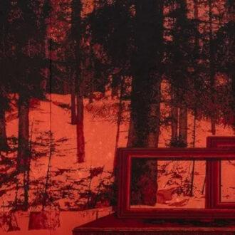 "El pico al aire" (detalle), 2025 © Javier Garcerá, VEGAP, Madrid, 2025. Temple acrílico sobre seda sintética. Crédito de la fotografía: Juan Baraja