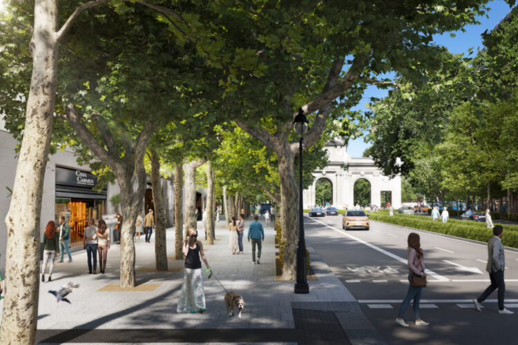 Aspecto que tendrá la nueva hilera de árboles