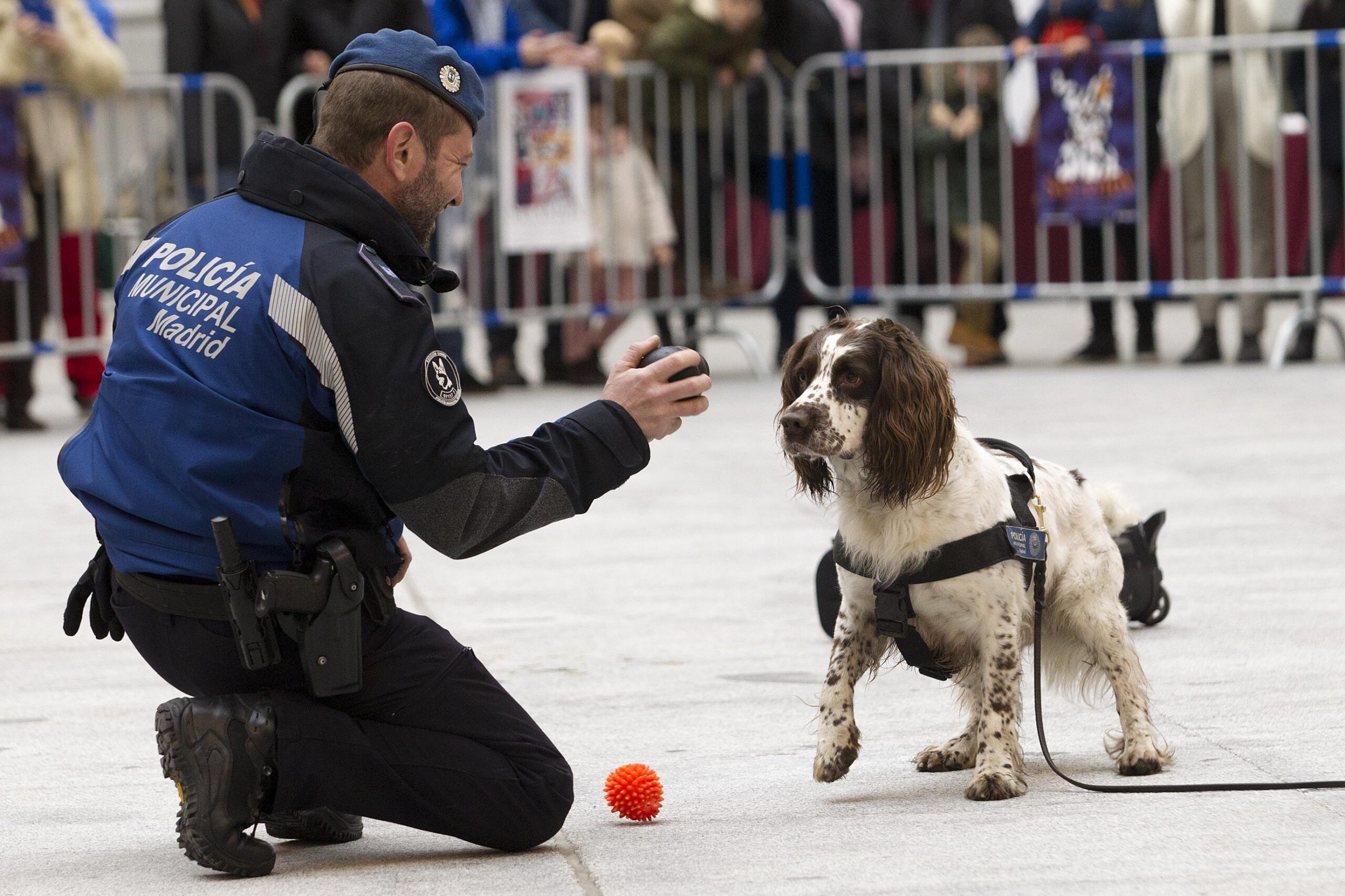 Imagen de archivo de una exhibición canina de la Policía Municipal con motivo de la fiesta de San Antón