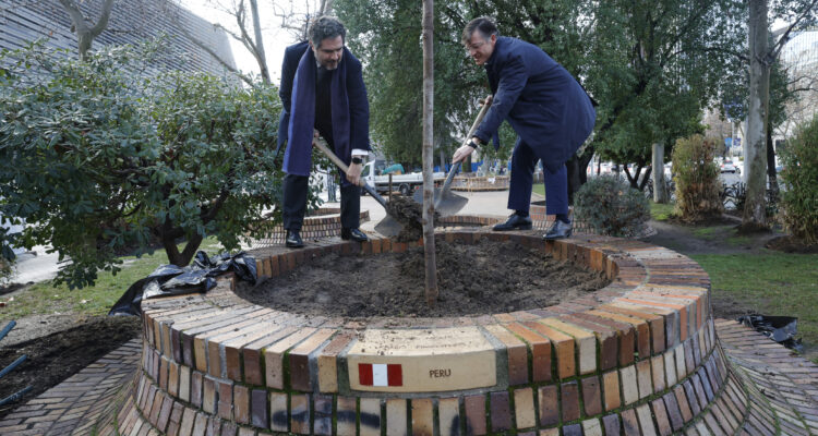 Páramo participa en la plantación de un árbol molle en los jardines del Mundial