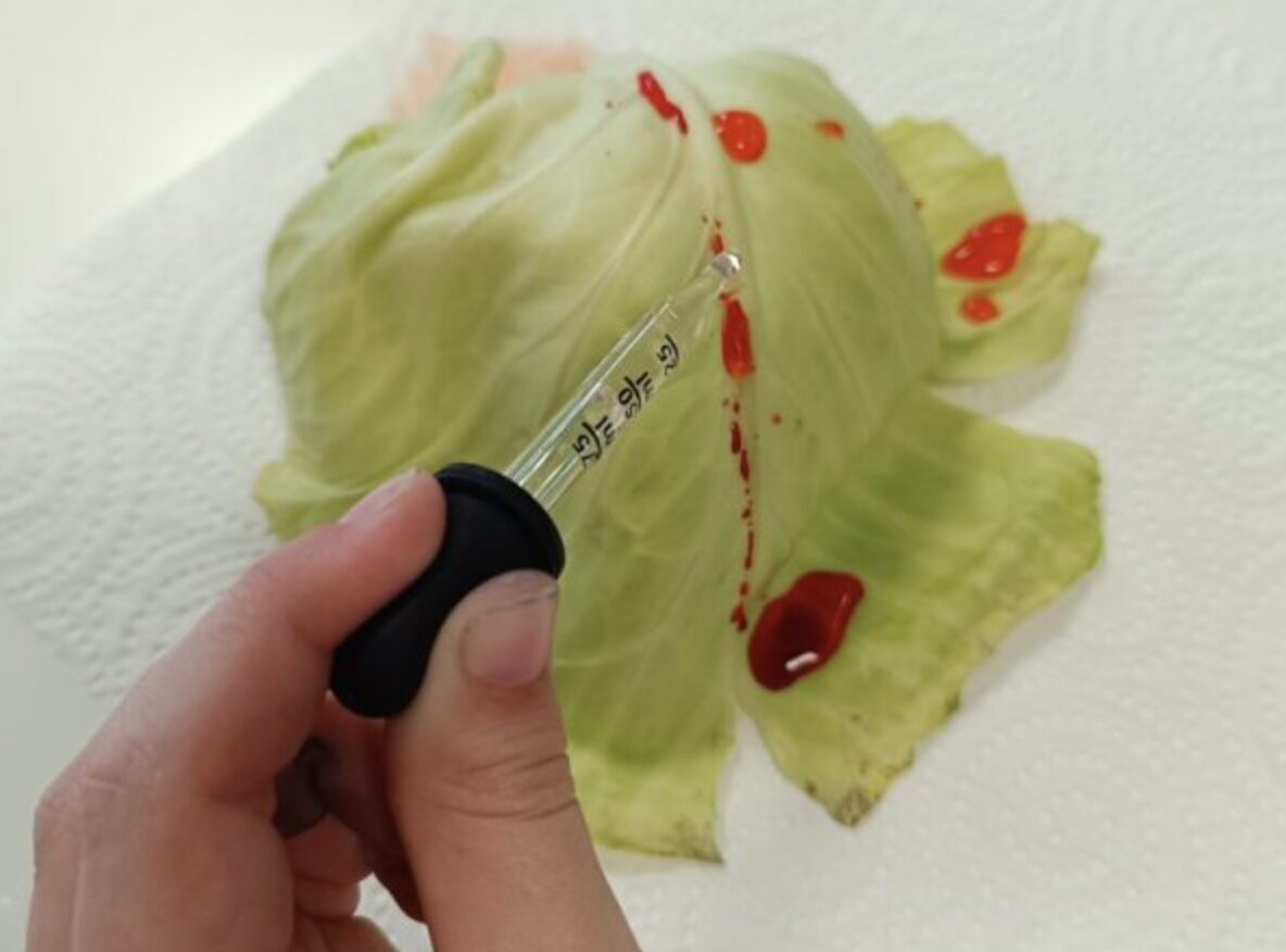 Imagen del taller Hojas impermeables