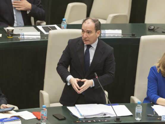 Carabante durante su intervención en el Pleno del Ayuntamiento de Madrid del mes de febrero