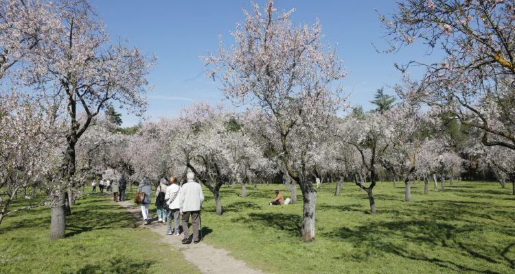 Rutas teatralizadas en La Quinta de los Molinos
