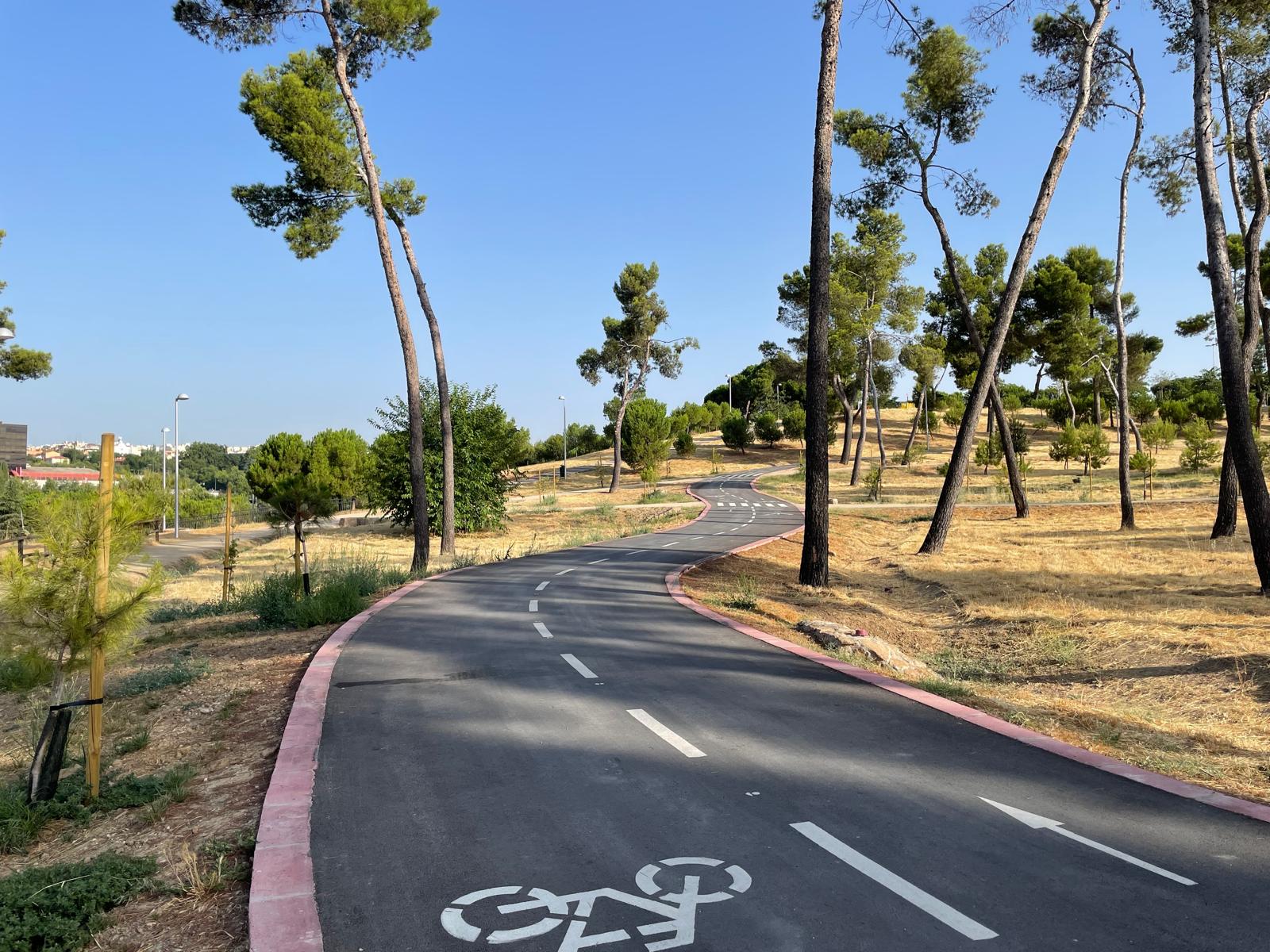 Fortalecimiento del pinar de La Elipa