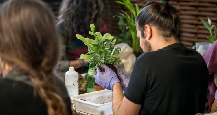 Imagen de archivo de las actividades de la edición de Biophest en 2025