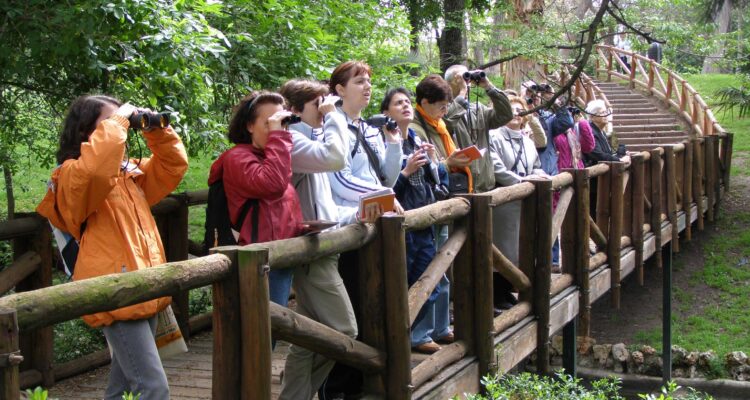 Actividades del programa Hábitat Madrid