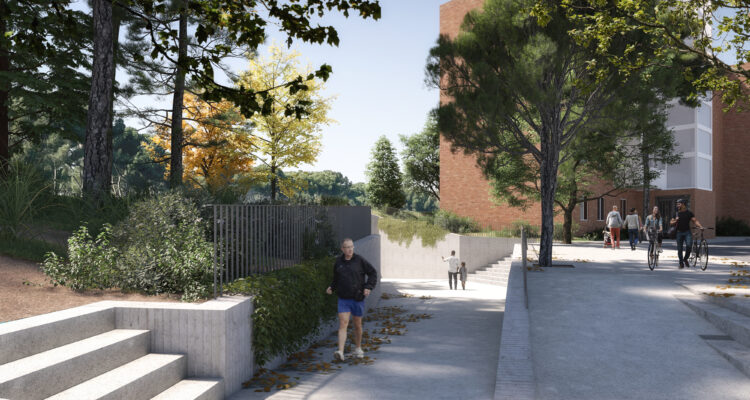 Recreación de la futura Colonia Manzanares