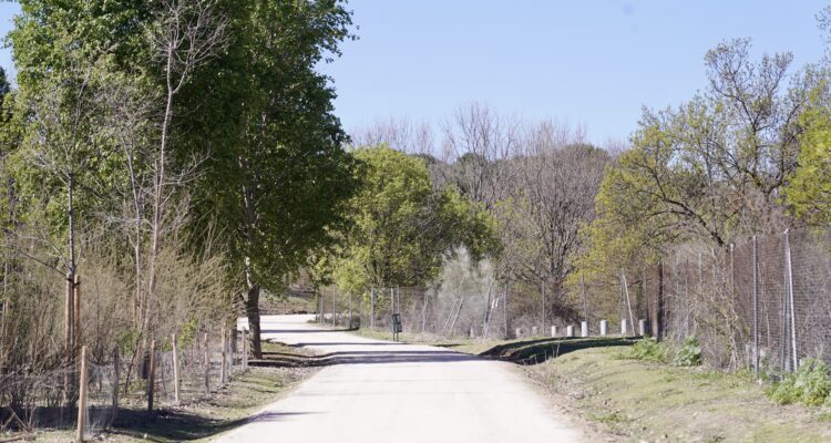 El entorno del arroyo de Valdebebas