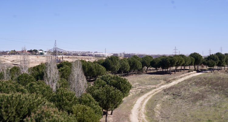 El entorno del arroyo de Valdebebas