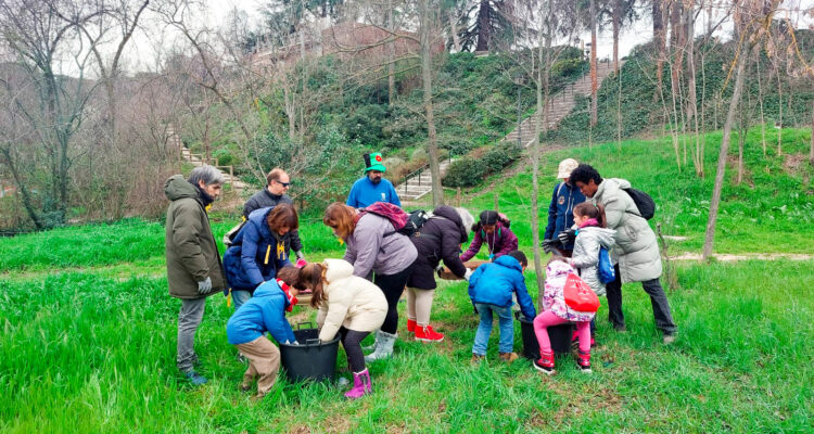Madrid celebra el Día del Árbol