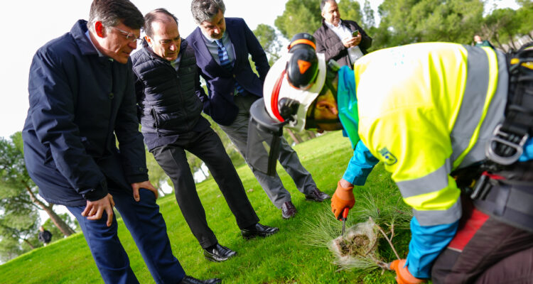 Carabante, Martínez Páramo y Peña durante la visita al parque Juan Carlos I para comprobar labores de control de la procesionaria