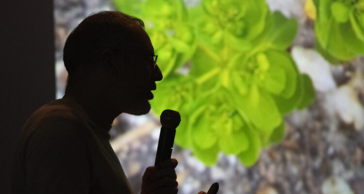 Ciclo conferencias, II edición del Festival Biophest