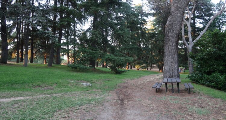 Sendero de tierra entre árboles en la Dehesa de la Villa en Madrid