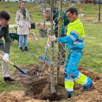 El concejal de Fuencarral-El Pardo, Mártinez Páramo, participa en plantación de árboles en el Parque Fuentelarreina