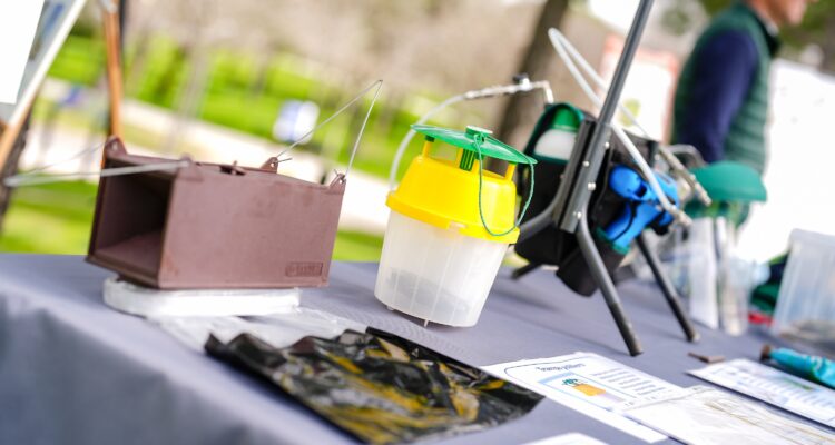 Diferentes dispositivos para controlar la oruga procesionaria