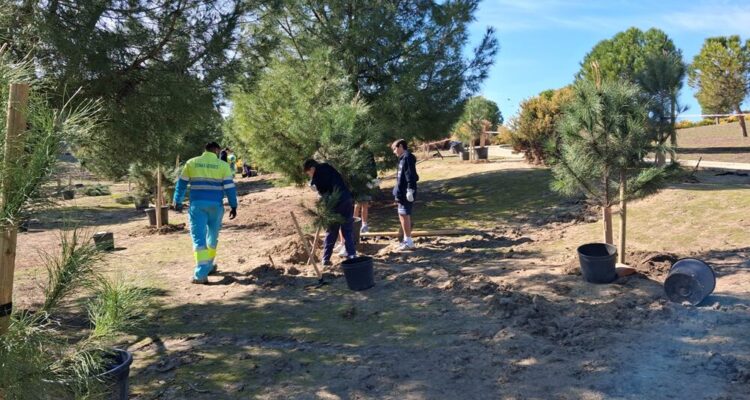 Actividad realizada con motivo del Día del Árbol