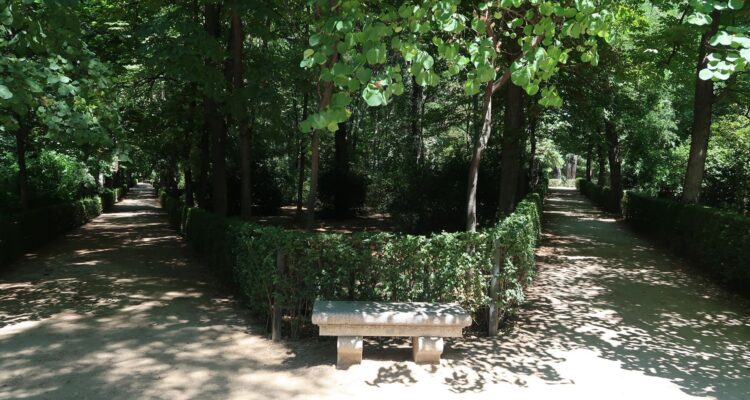 Paseo arbolado con bancos en el Parque del Retiro de Madrid