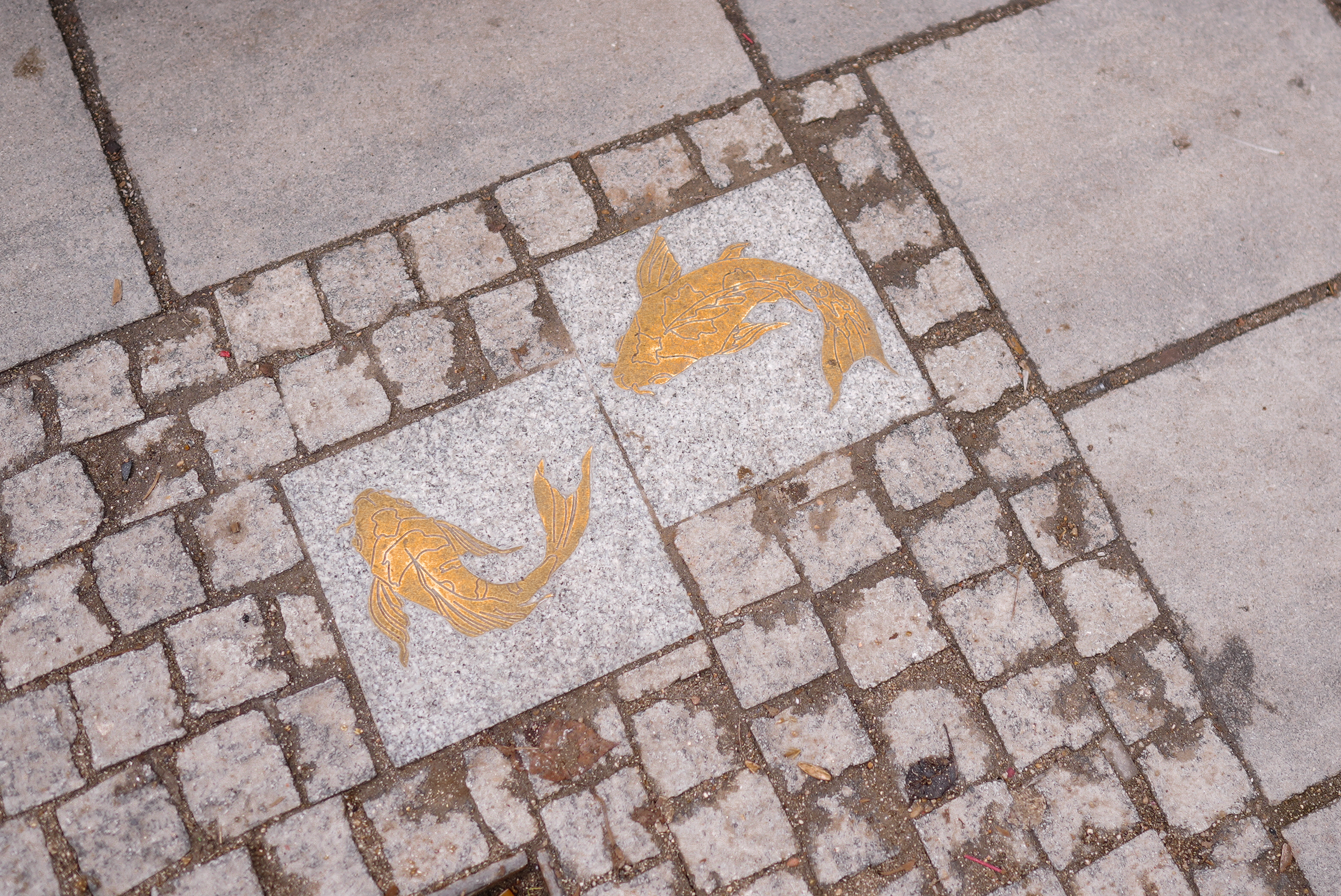 Carpas grabadas en las baldosas del nuevo itinerario de Usera