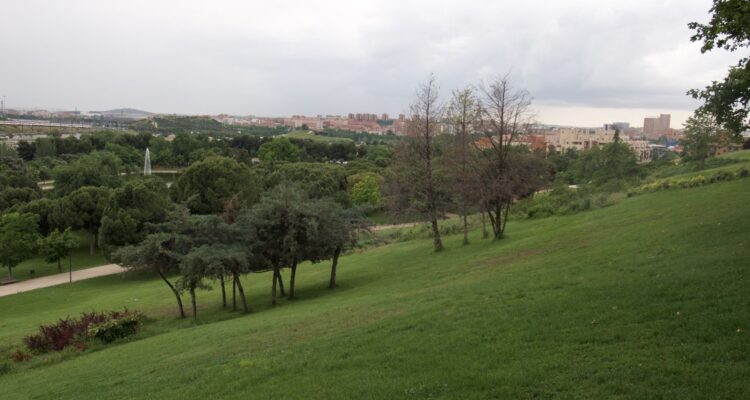 Zona arbolada del parque Enrique Tierno Galván