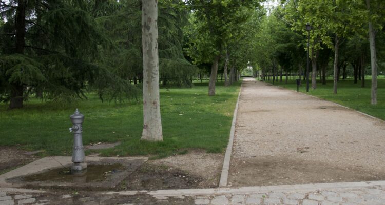 Zona verde del parque Enrique Tierno Galván con árboles