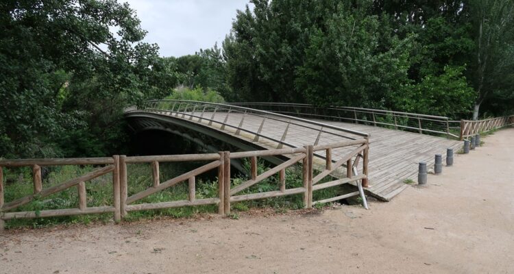 Puente peatonal en el Parque Lineal del Manzanares rodeado de vegetación