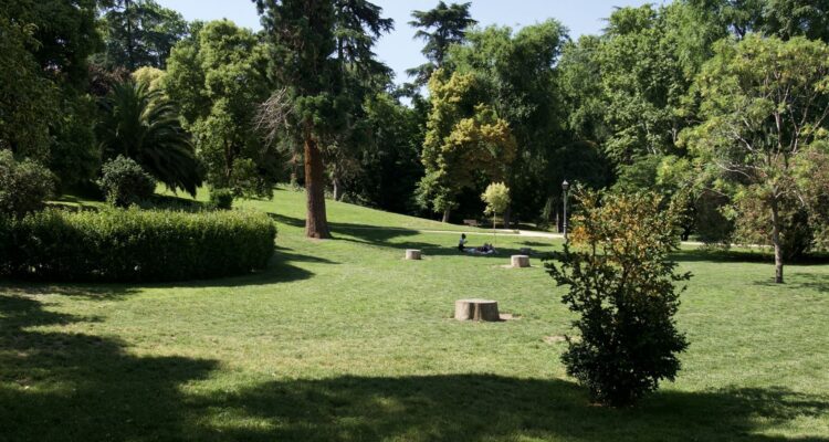 Parque de la Fuente del Berro en primavera con praderas verdes y zonas de descanso en Madrid