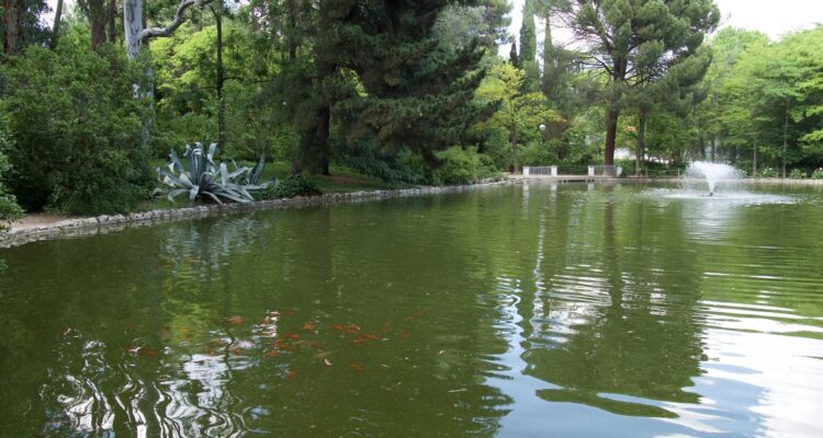 Estanque con peces y vegetación en la Quinta de los Molinos en Madrid