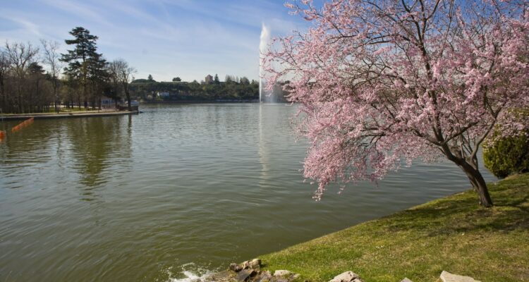 Lago de la Casa de Campo con la ciudad de Madrid al fondo