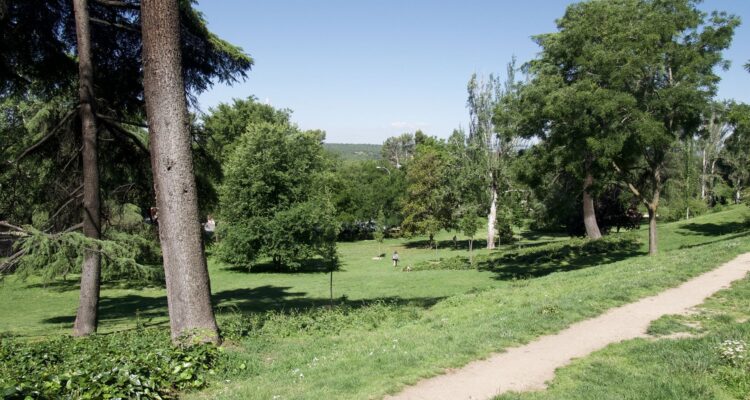 Sendero entre árboles en el Parque del Oeste