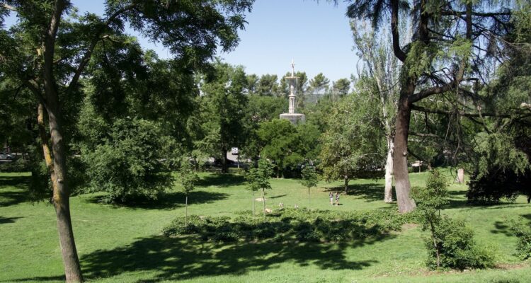 Zona verde con árboles y césped en el Parque del Oeste