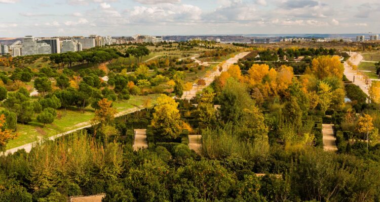 Vista panorámica del parque forestal de Valdebebas con zonas verdes y caminos