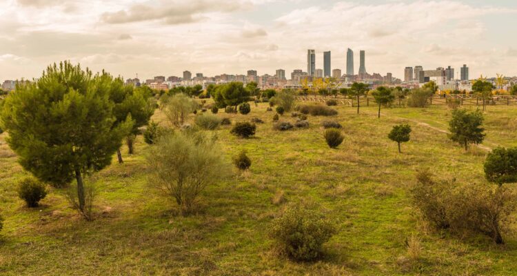 Parque forestal de Valdebebas con las Cuatro Torres al fondo