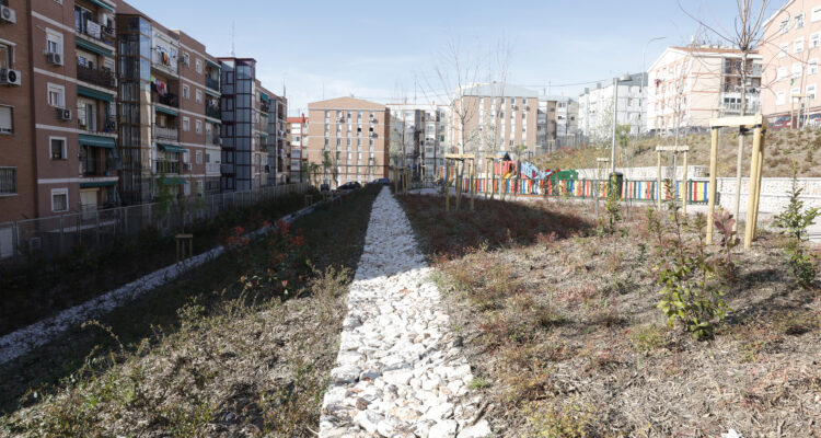 Zona con nuevos drenajes y especies arbóreas de la zona renaturalizada