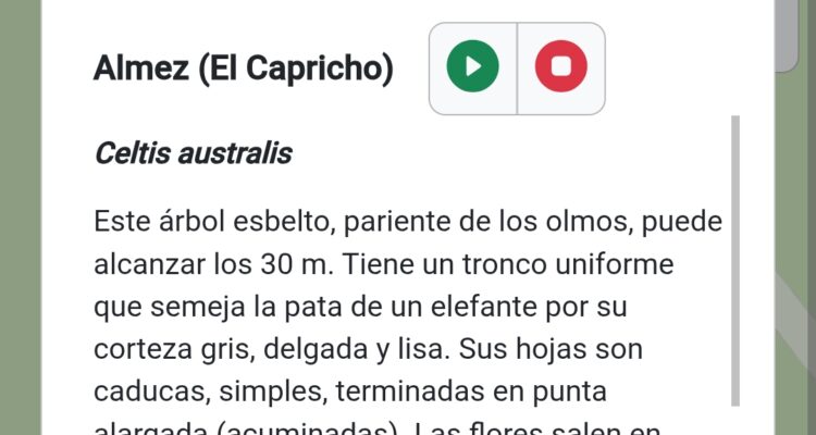 Información de árbol almez en la app de parques de Madrid con ficha botánica
