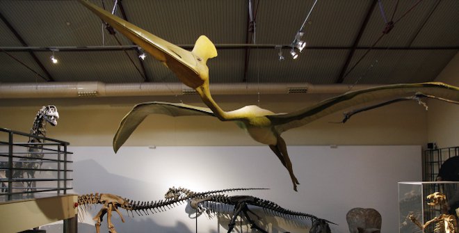 Museo Nacional de Ciencias Naturales