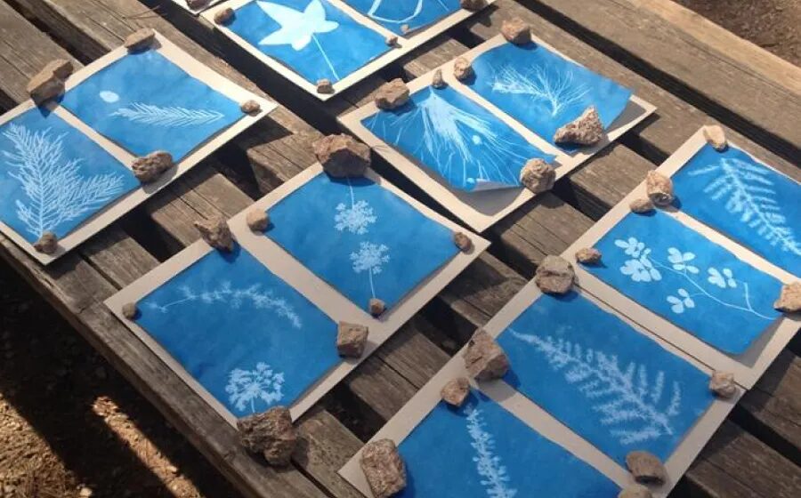 Papeles con impresiones botánicas en azul realizados con técnica de cianotipia sobre mesa de madera