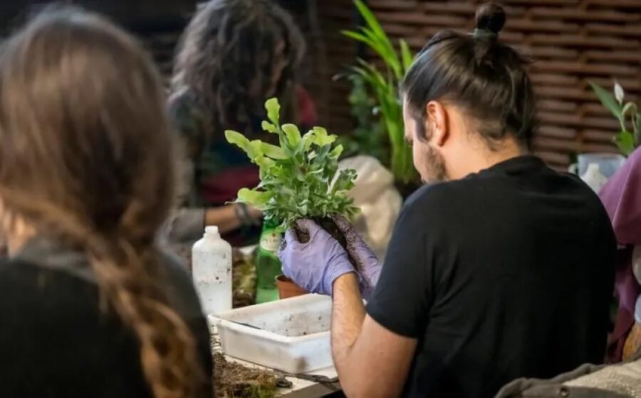 Personas manipulando plantas en un taller sobre naturaleza y jardinería