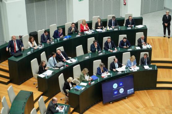 Imagen del Pleno del mes de abril