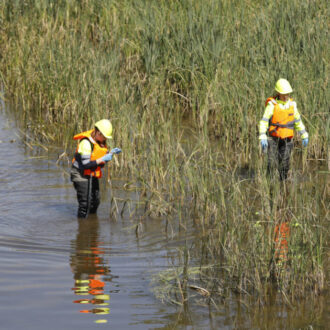Operarios en el río Manzanares, durante los trabajos para combatir a la mosca negra. Imagen de archivo