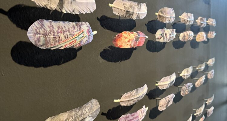 Instalación de plumas intervenidas colocadas en pared en una sala de exposición