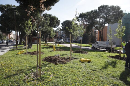 Imagen archivo de trabajos en zona verde de Hortaleza