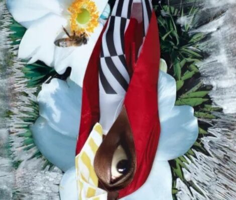 Athalia´s Eye (C) Viviane Sassen