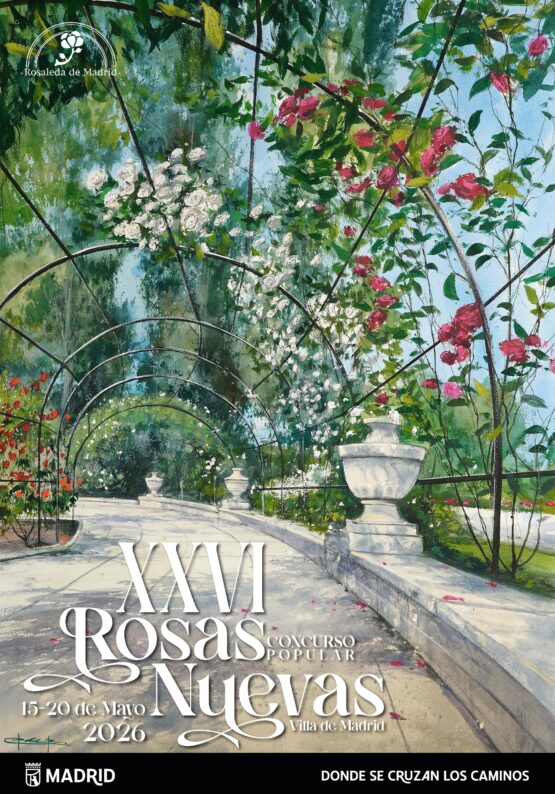 Cartel del concurso popular 'XXVI Rosas Nuevas'