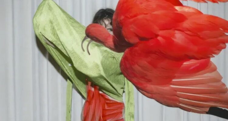 Eudocimus Ruber (C) Viviane Sassen