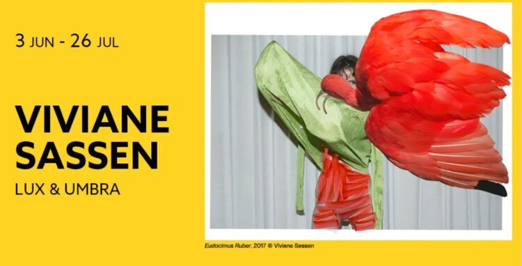 Cartel de la exposición 'Viviane Sassen'