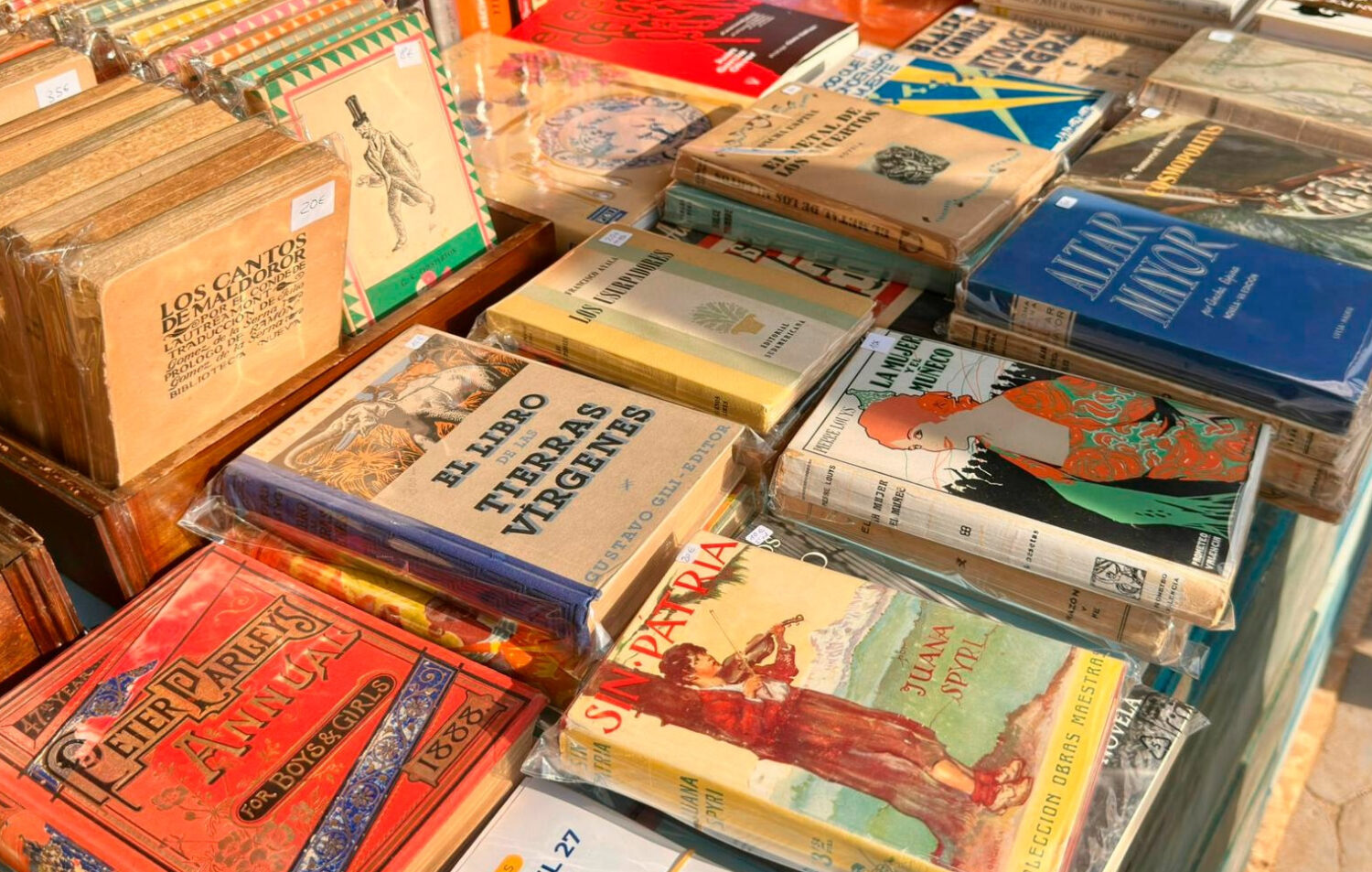 Libros en un puesto de la IX Feria del Libro de Chamartín
