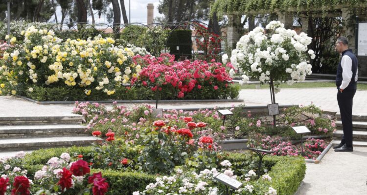 Imagen de archivo de la Rosaleda del parque del Oeste de Madrid