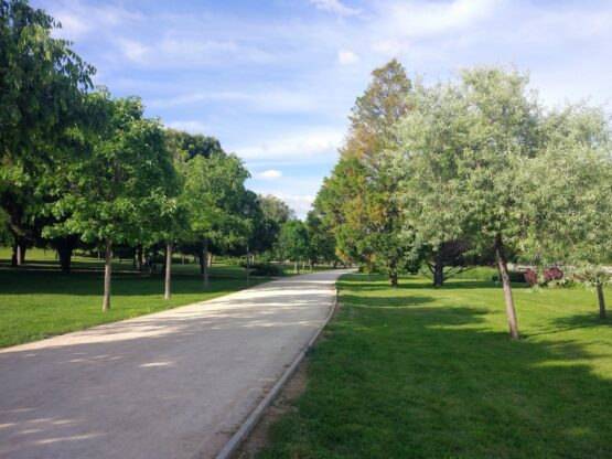 Imagen de archivo del parque Tierno Galván