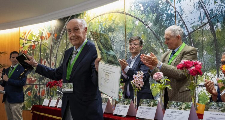 Medalla de oro del 70º Concurso Internacional de Rosas Nuevas Villa de Madrid